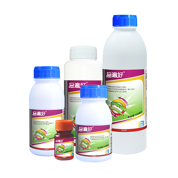 一片大好 一片大好