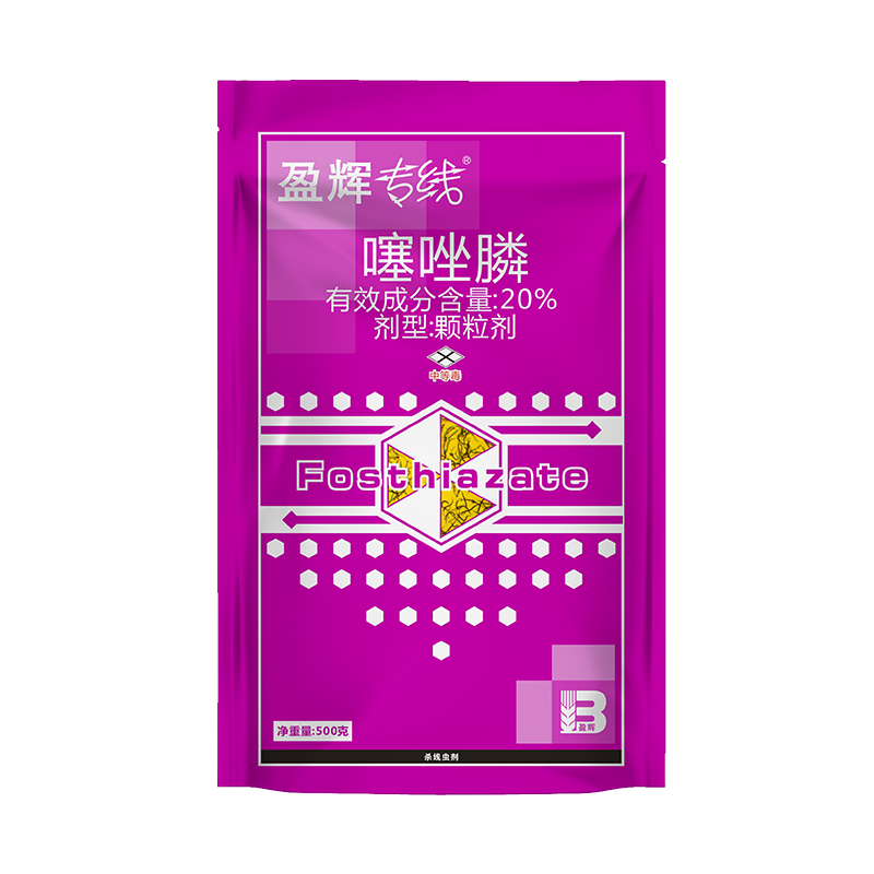 盈辉专线® 盈辉专线®