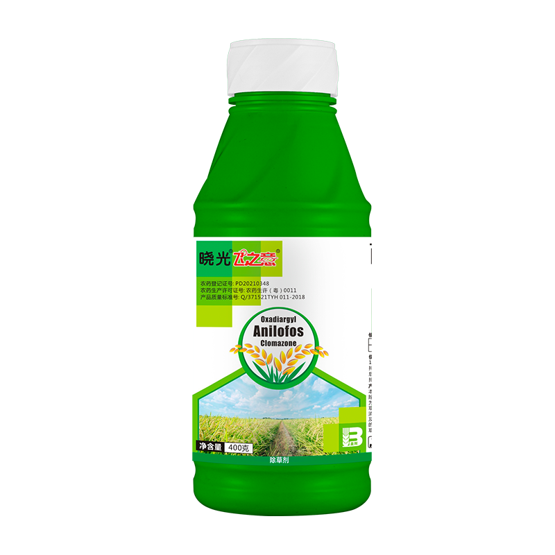 晓光飞之意® 晓光飞之意®