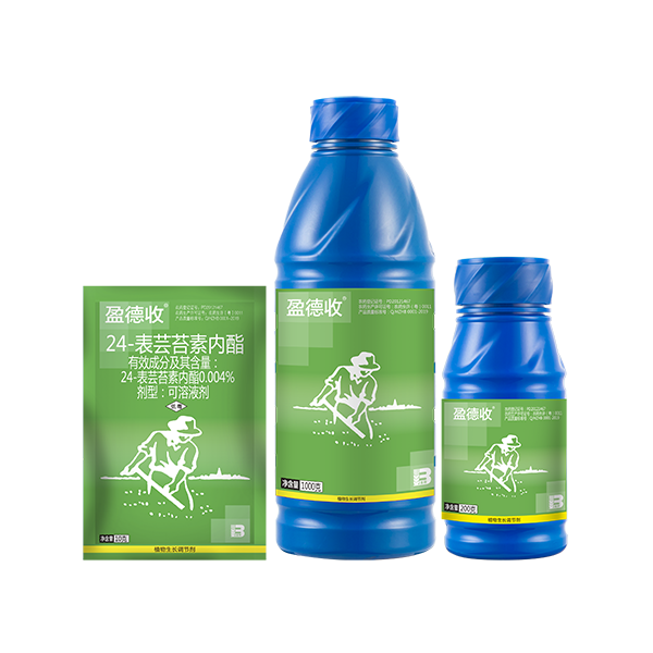 盈德收® 盈德收®