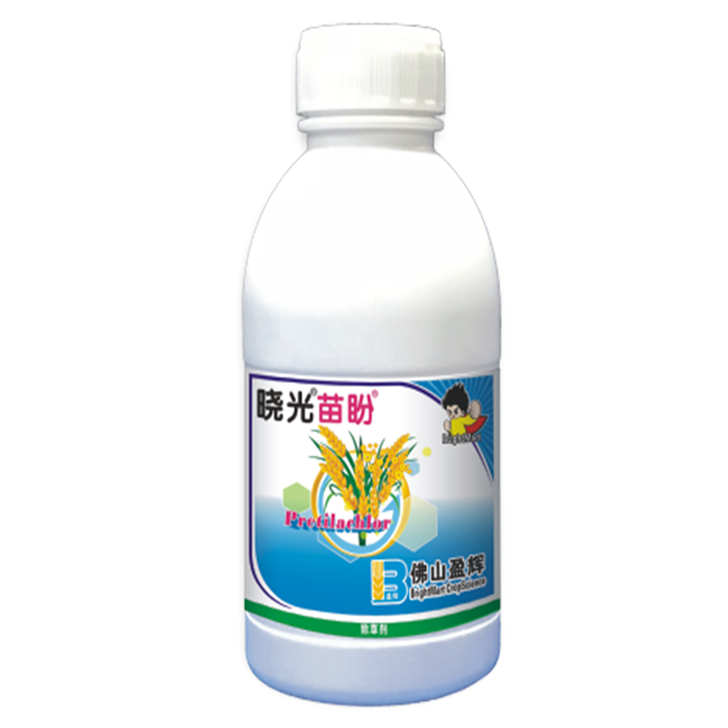 晓光苗盼® 晓光苗盼®