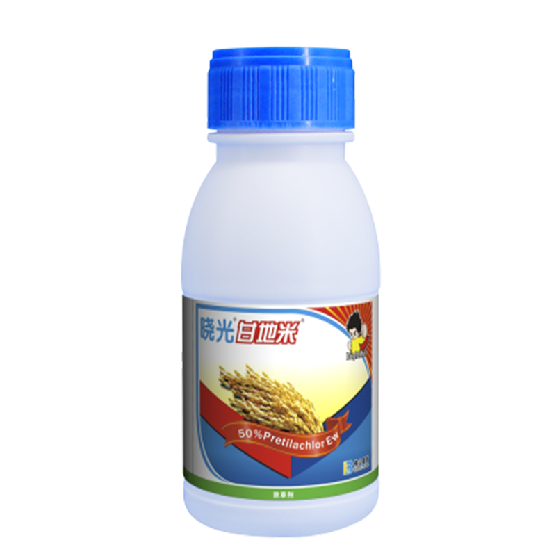 晓光甘地米® 晓光甘地米®