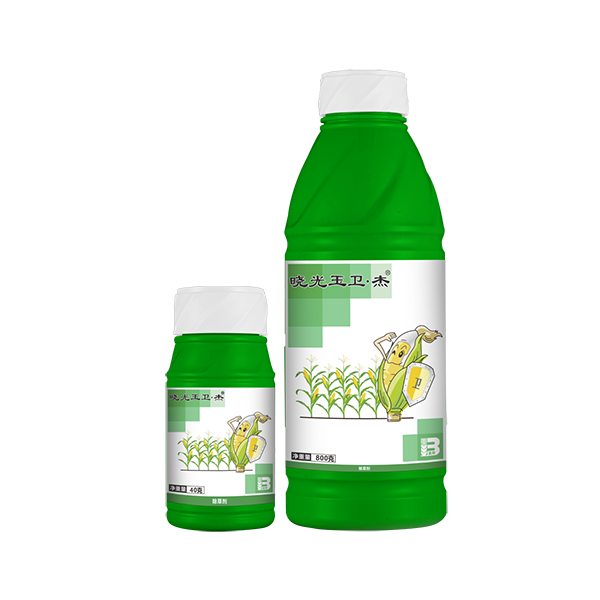 晓光玉卫·杰® 晓光玉卫·杰®