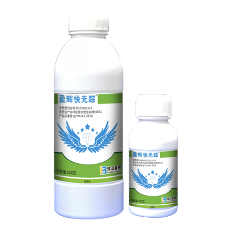 盈辉快无踪® 盈辉快无踪®