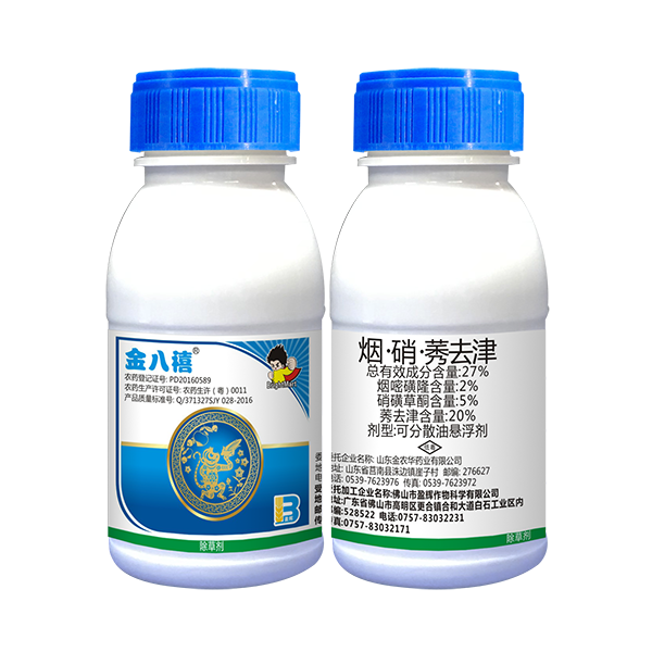 金八禧® 金八禧®